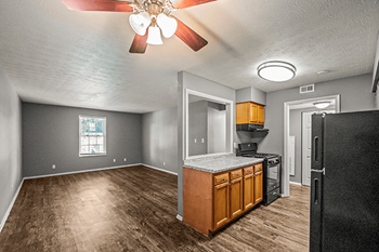Ceiling fan
